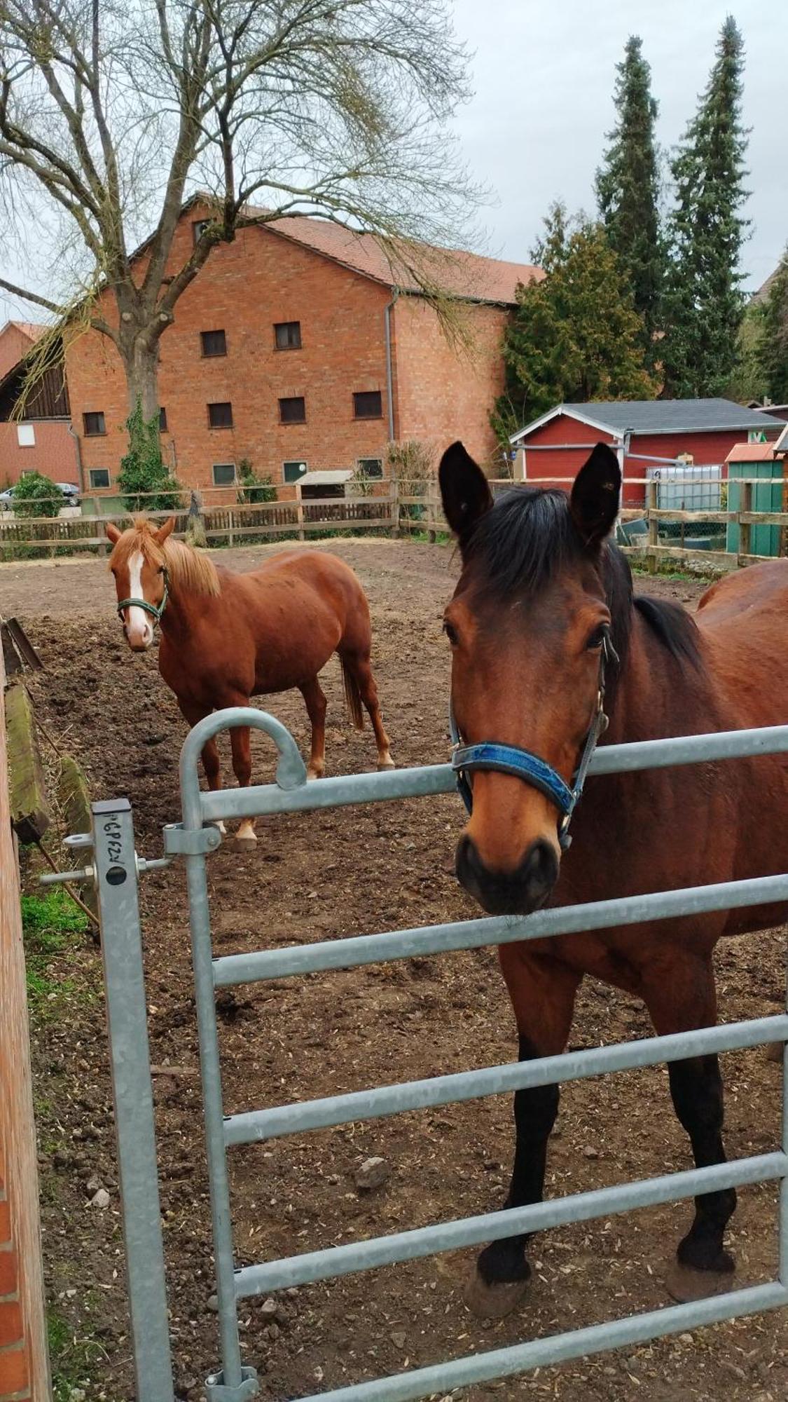 Wohnen Auf Dem Bauernhof Apartamento Laatzen Exterior foto
